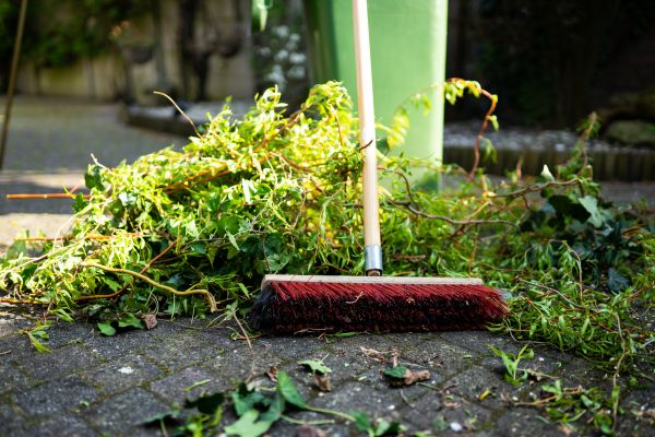 Brush Cleanup
