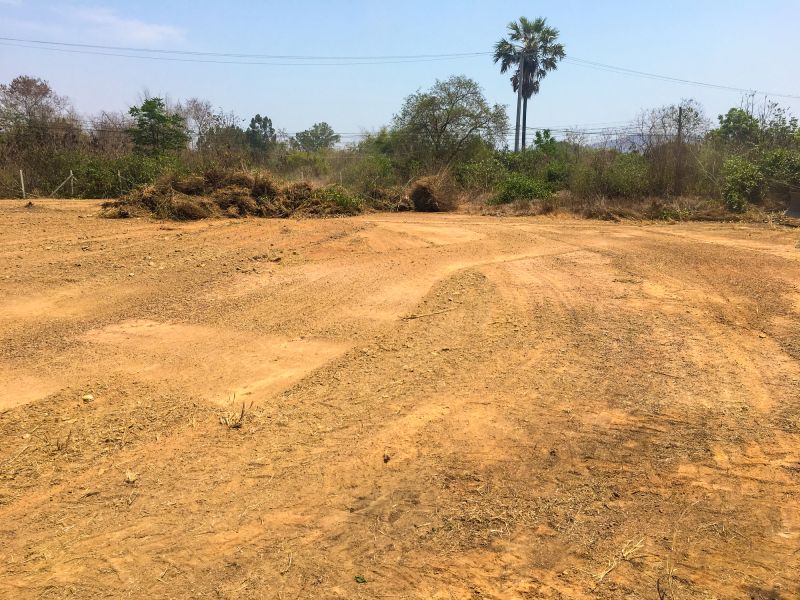 Land clearing in dry season