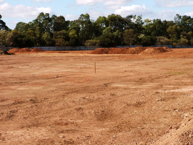 Professional site assessment